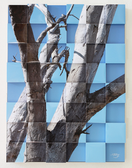 dead tree mosaic