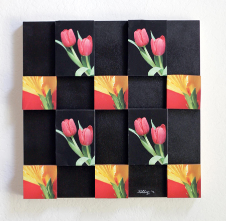 hibiscus and tulips