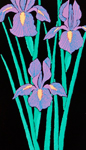 iris for daphne