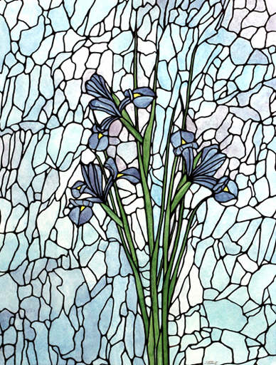 irises 2