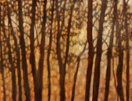 yellow and brown trees